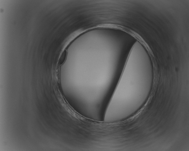 X0000087530908200704270854