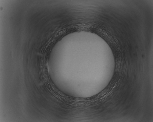 X0000087530913200704270853