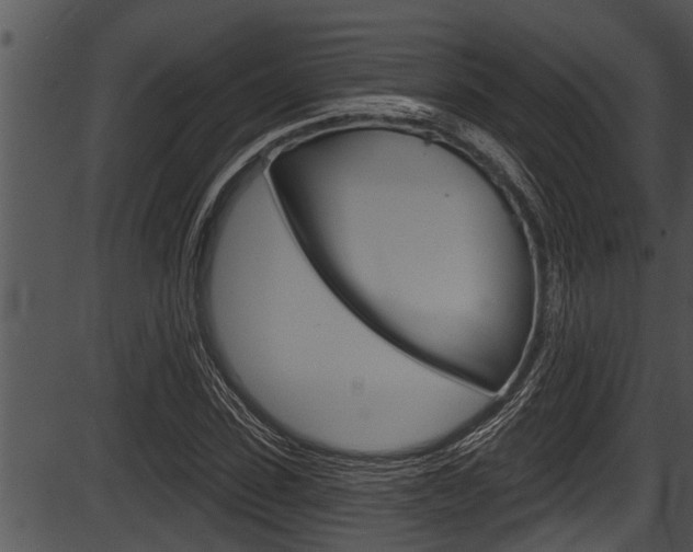 X0000087530923200704270853