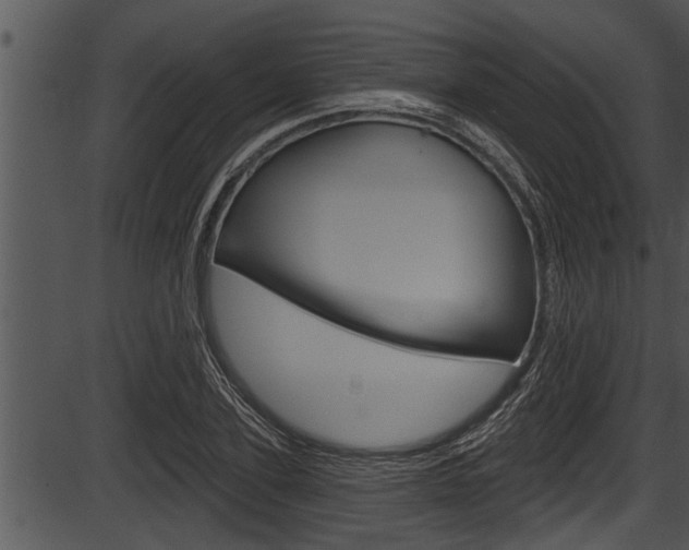 X0000087530931200704270853