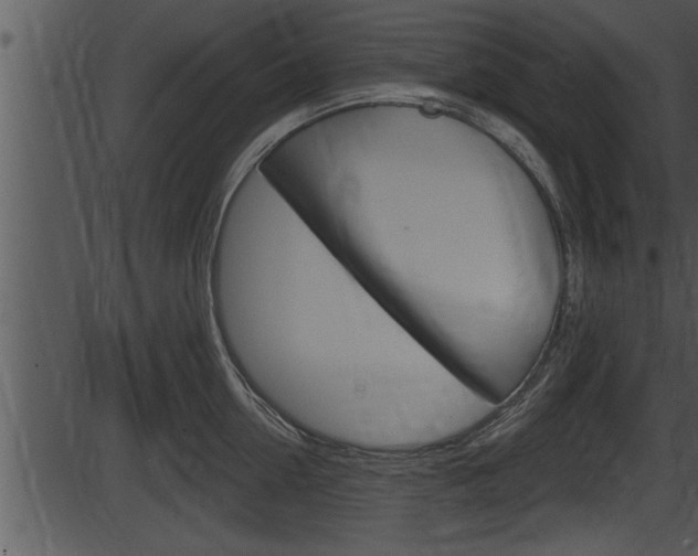 X0000087530954200704270854