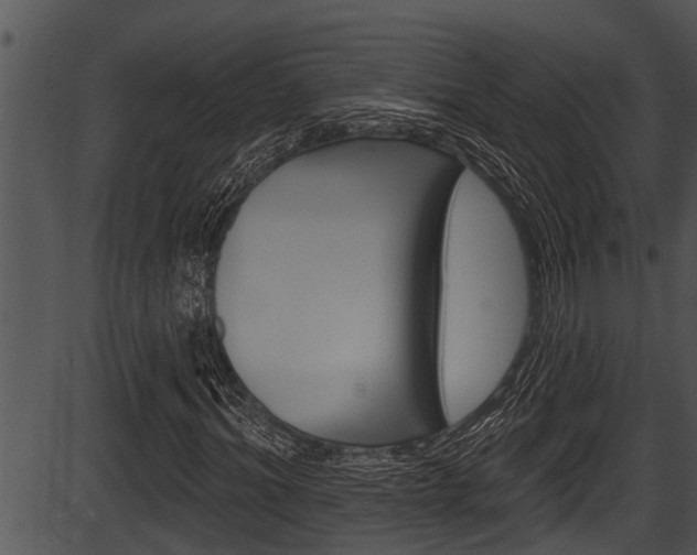 X0000087530964200704270853