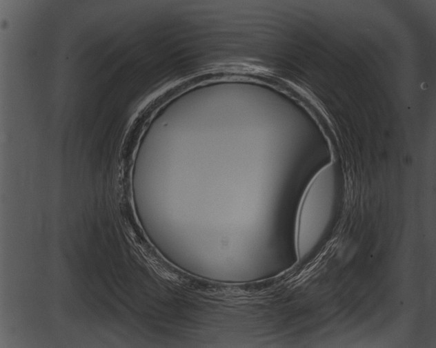 X0000087530971200704270853