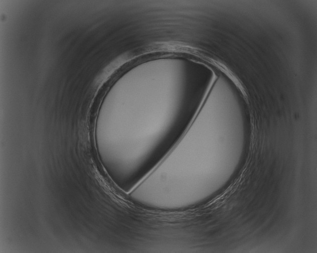 X0000087530972200704270853