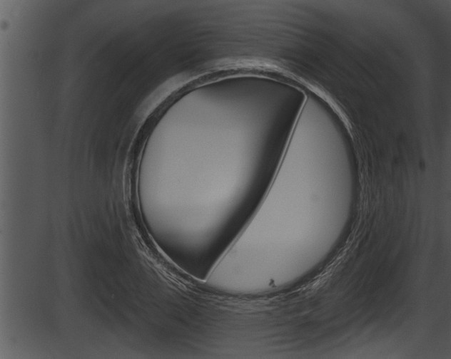 X0000087530983200704270853