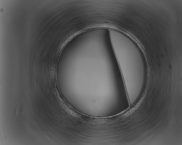 X0000087530993200704270852