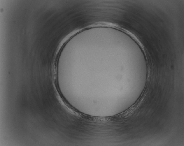 X0000087531003200704270852