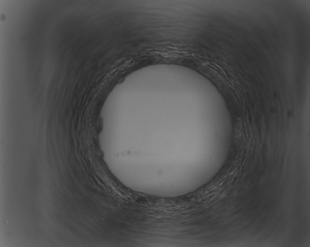 X0000087531009200704270851