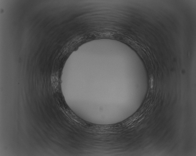 X0000087531011200704270851