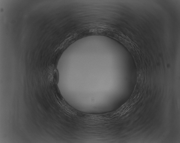 X0000087531012200704270851