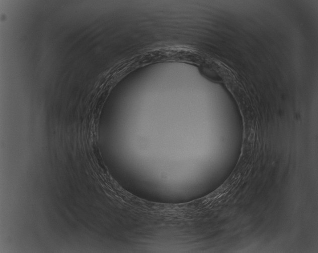 X0000087531014200704270851
