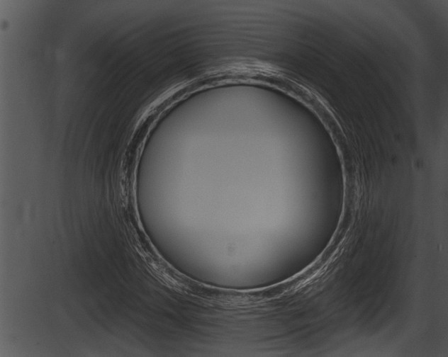 X0000087531018200704270852