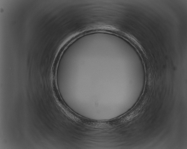 X0000087531024200704270852