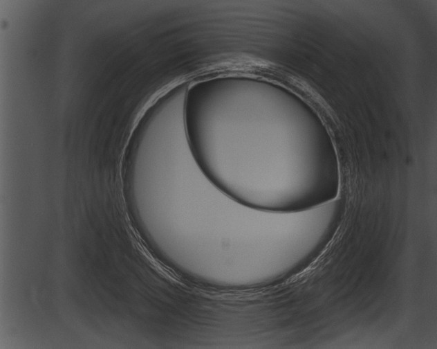 X0000087531026200704270852