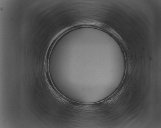 X0000087531028200704270852
