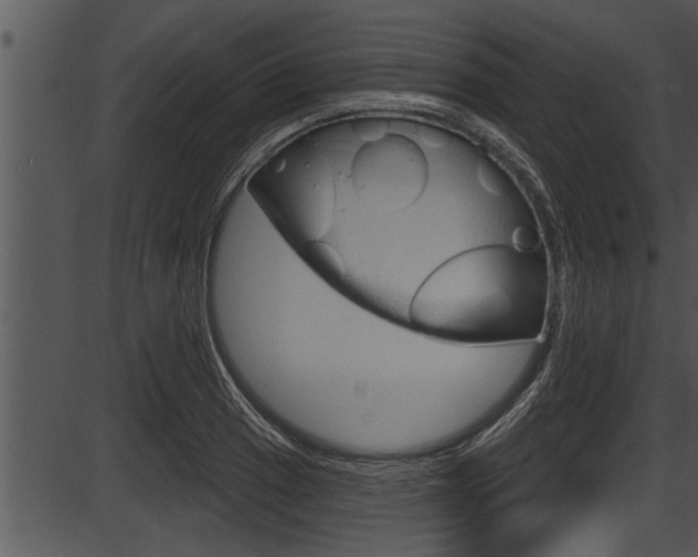 X0000087531033200704270852