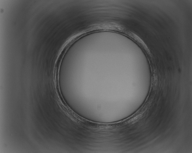 X0000087531035200704270852