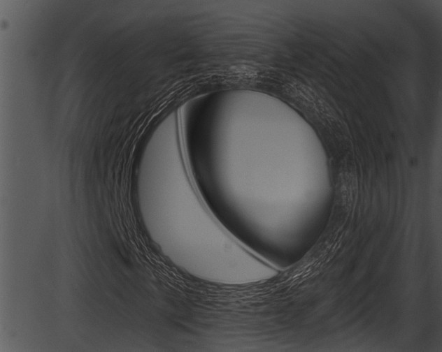 X0000087531057200704270851
