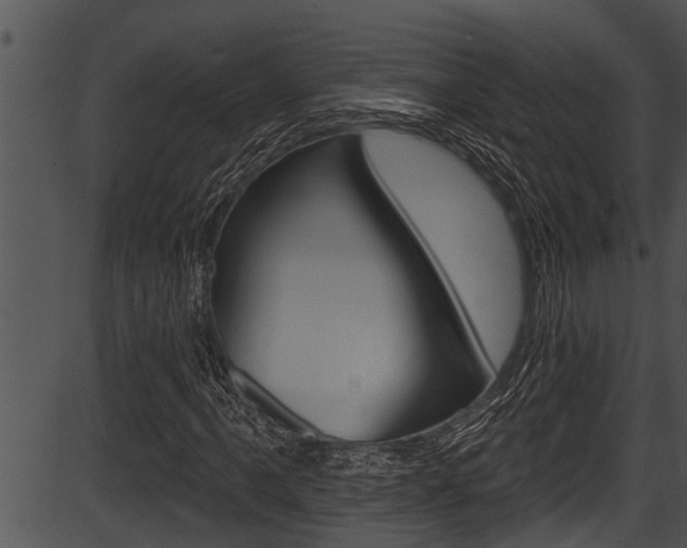 X0000087531061200704270851