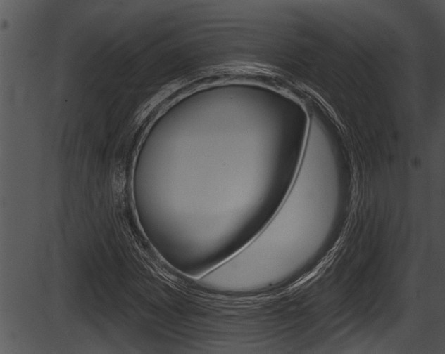 X0000087531065200704270851
