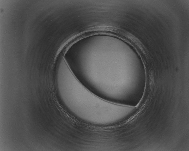 X0000087531069200704270851