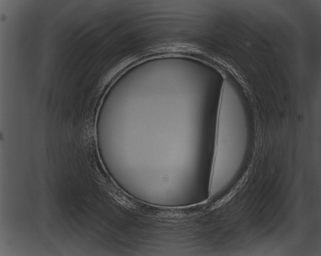 X0000087531073200704270851