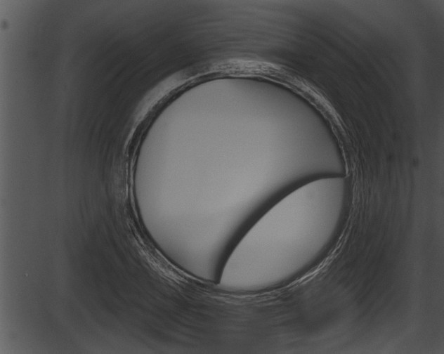 X0000087531075200704270851