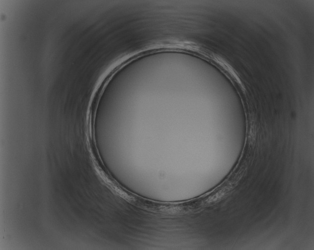 X0000087531080200704270851