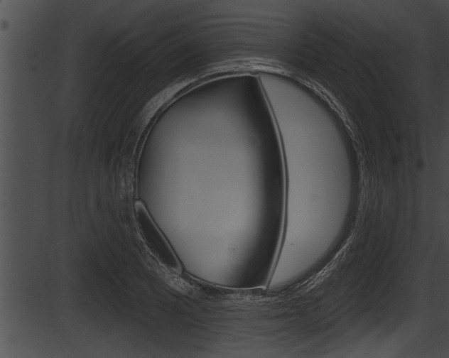 X0000087531081200704270851