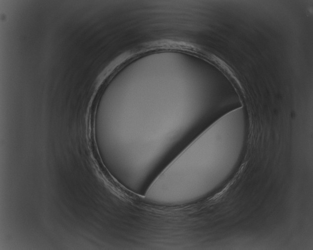 X0000087531082200704270851