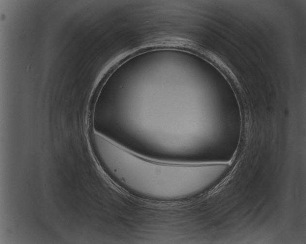 X0000087531085200704270851