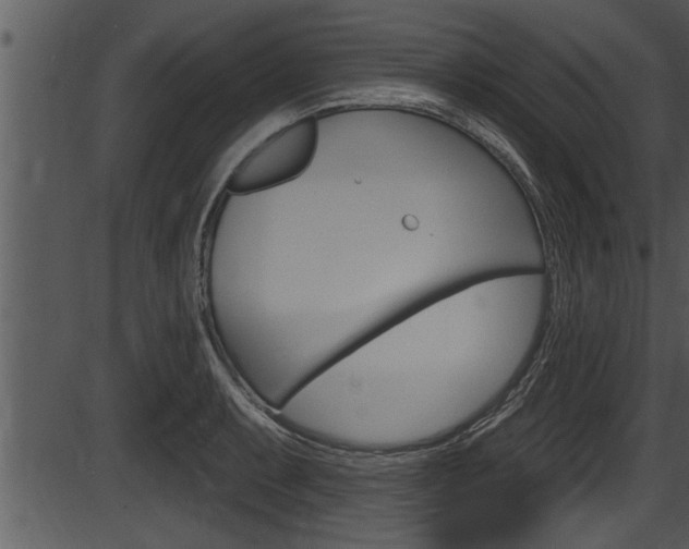 X0000087531087200704270851