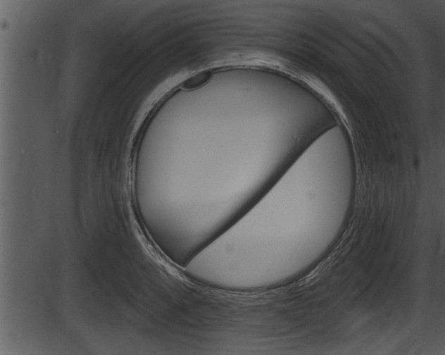 X0000087531088200704270851