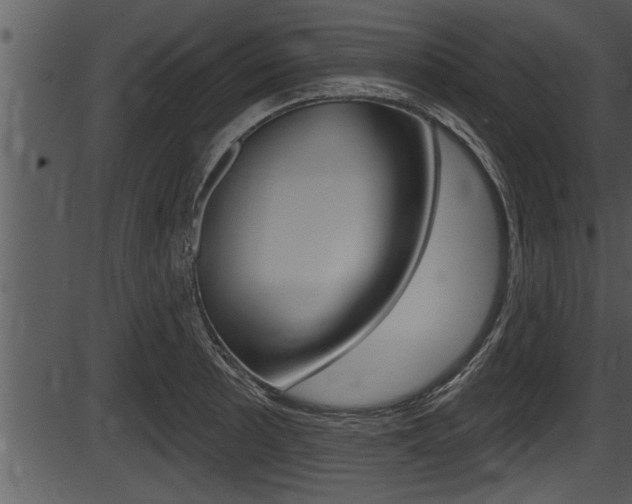 X0000087531089200704270851
