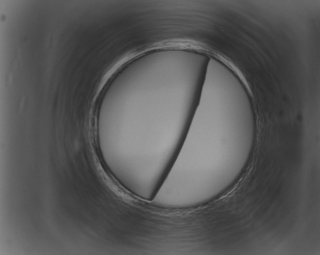 X0000087531091200704270851