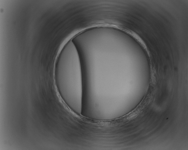 X0000087531096200704270851