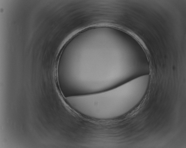 X0000087531101200704270851