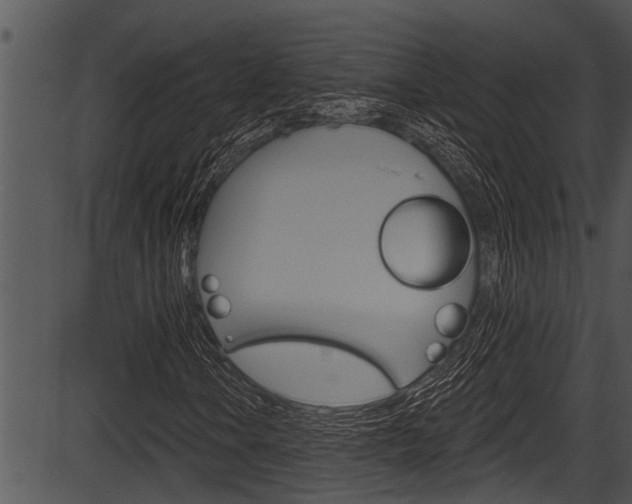 X0000087531106200704270850