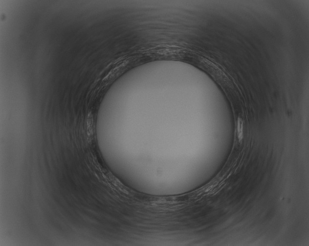 X0000087531107200704270850
