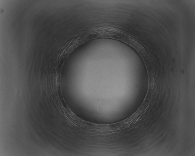 X0000087531108200704270850