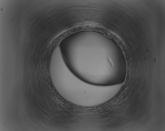 X0000087531112200704270850