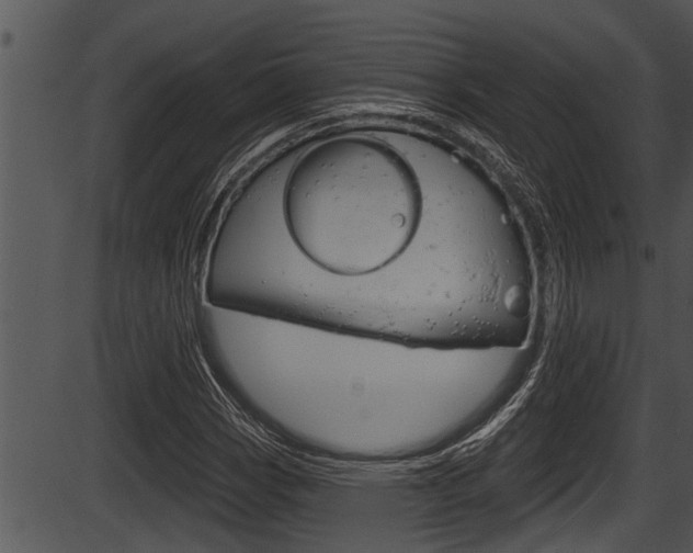 X0000087531113200704270850