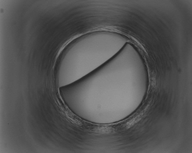 X0000087531117200704270850