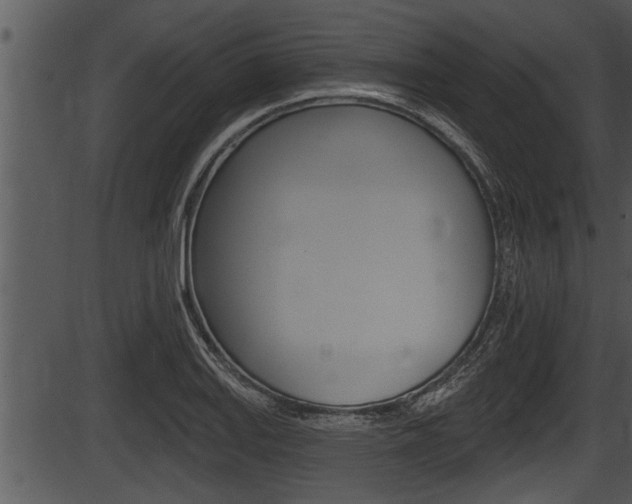 X0000087531127200704270850