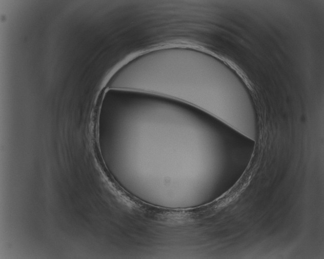 X0000087531134200704270850