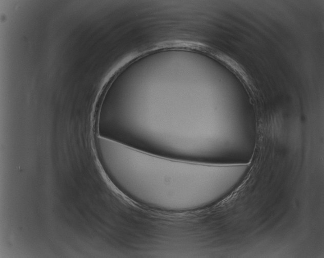 X0000087531135200704270850