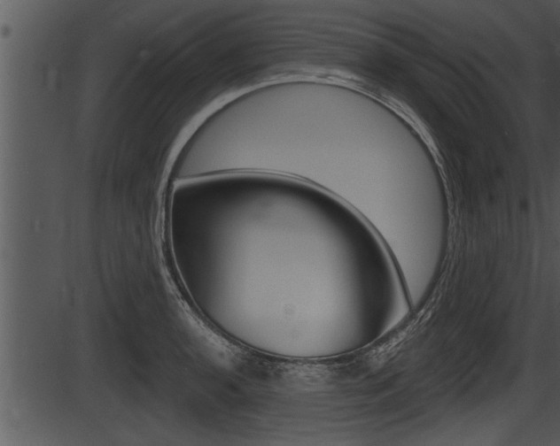 X0000087531136200704270850