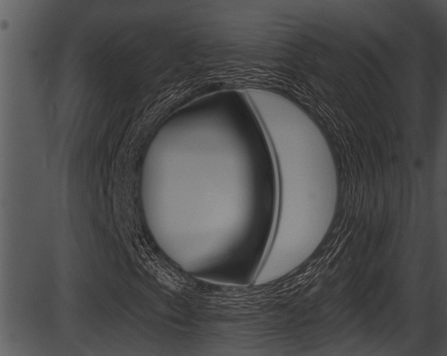 X0000087531153200704270850