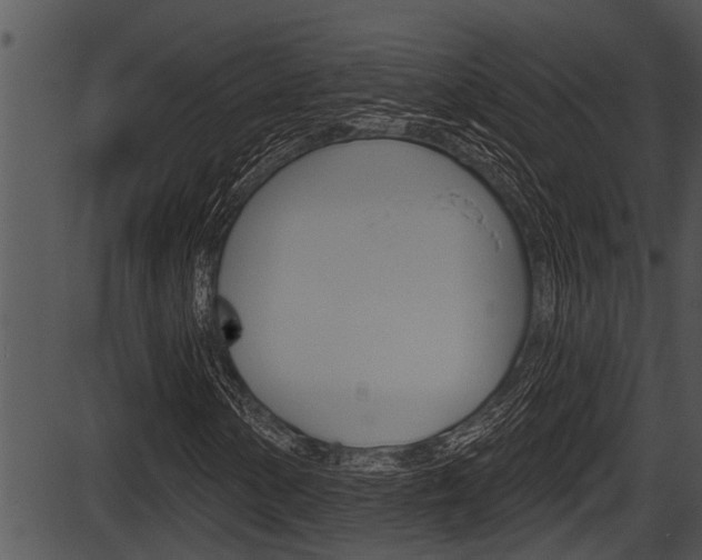 X0000087531154200704270850