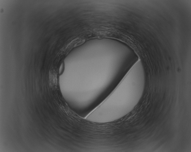 X0000087531155200704270850
